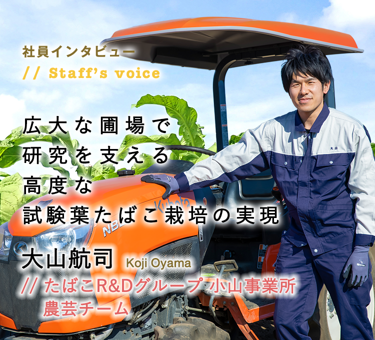 社員インタビュー たばこR&Dグループ 小山事業所 農芸チーム